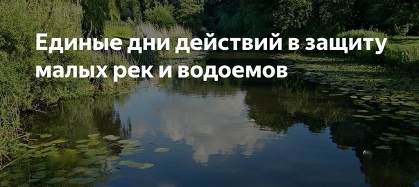 Единые дни действий в защиту малых рек и водоемов